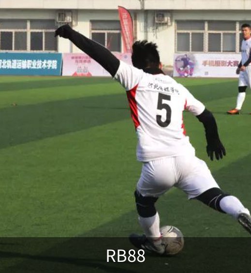 RB88概况